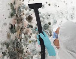 Why You Should Choose Our Mold Remediation Services in Franklin Park, PA